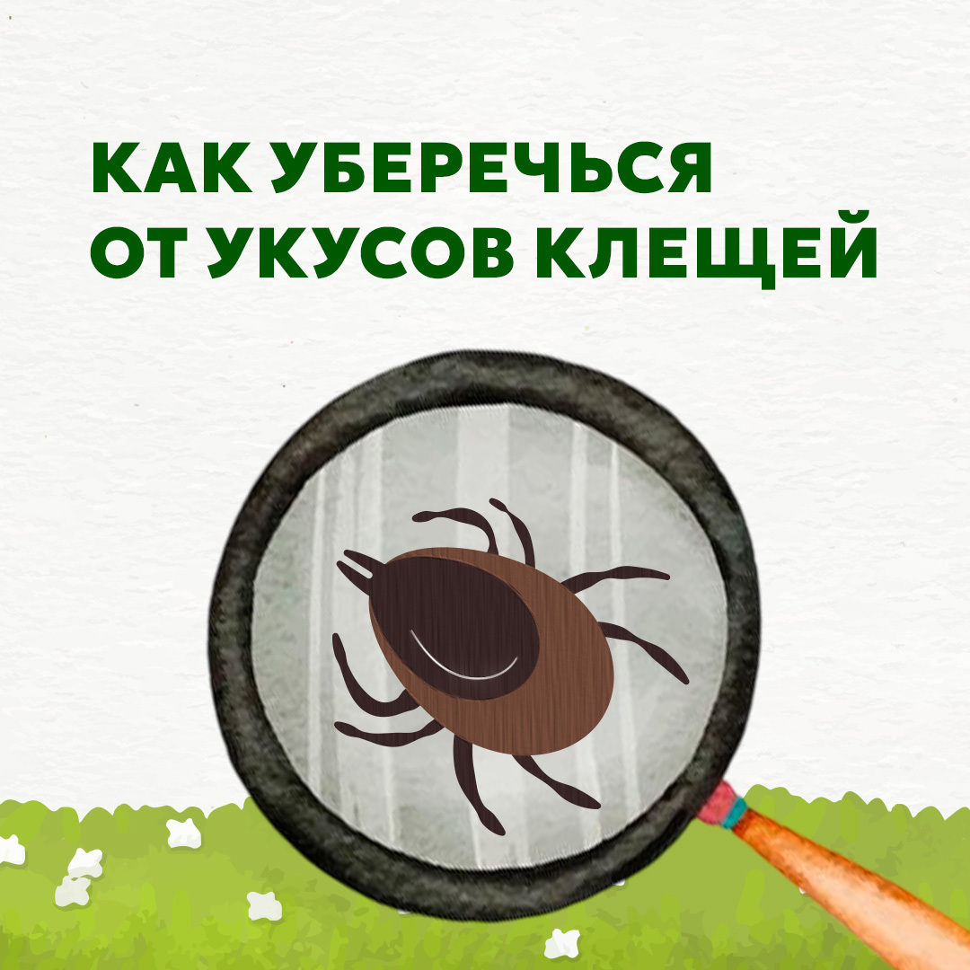 Ставропольцам рассказали про правила безопасности при укусе клеща.